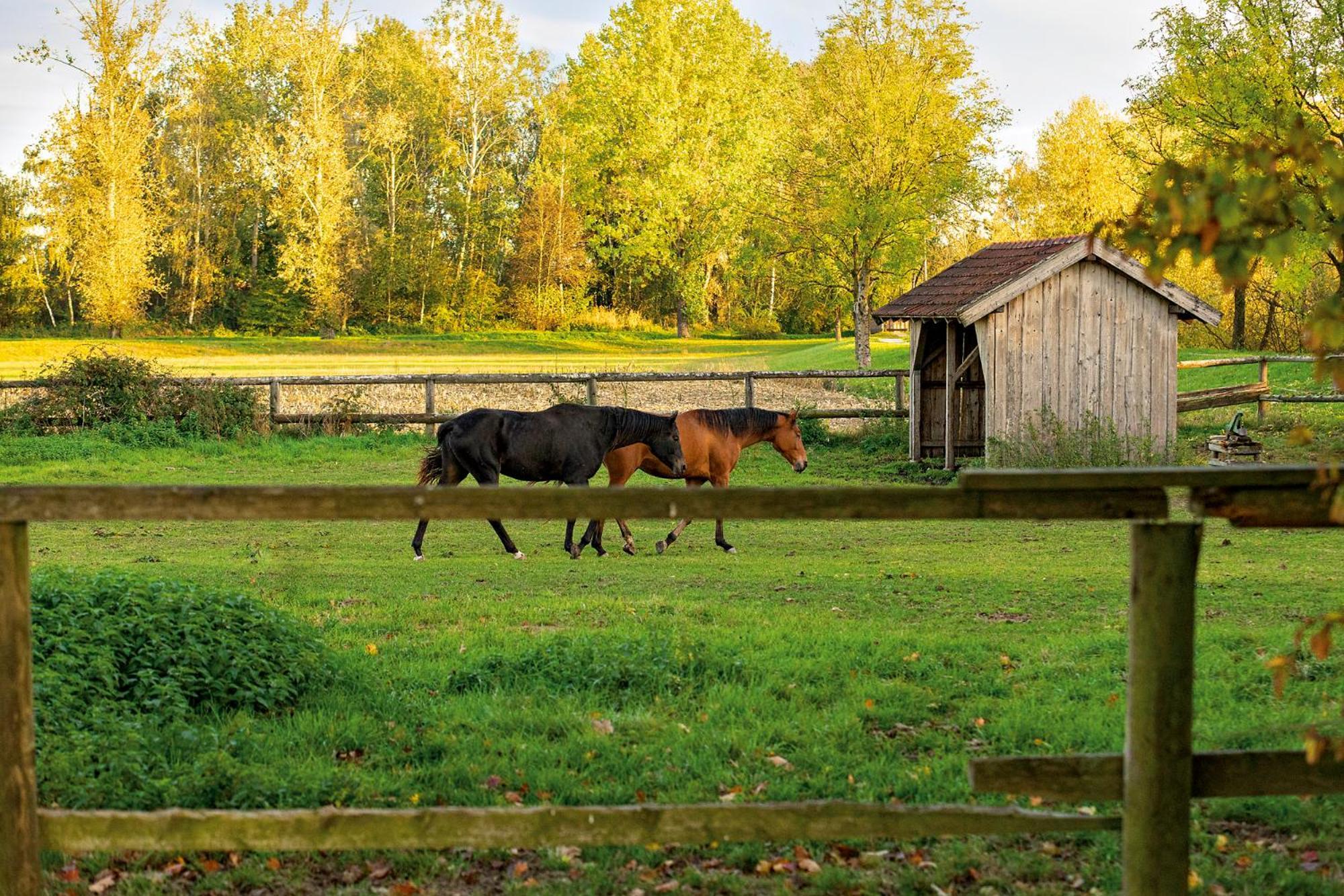 Chalet An Der Brunnader - Ihr Perfekter Rueckzugsort In Der Bayerischen Toskana Bad Birnbach Buitenkant foto