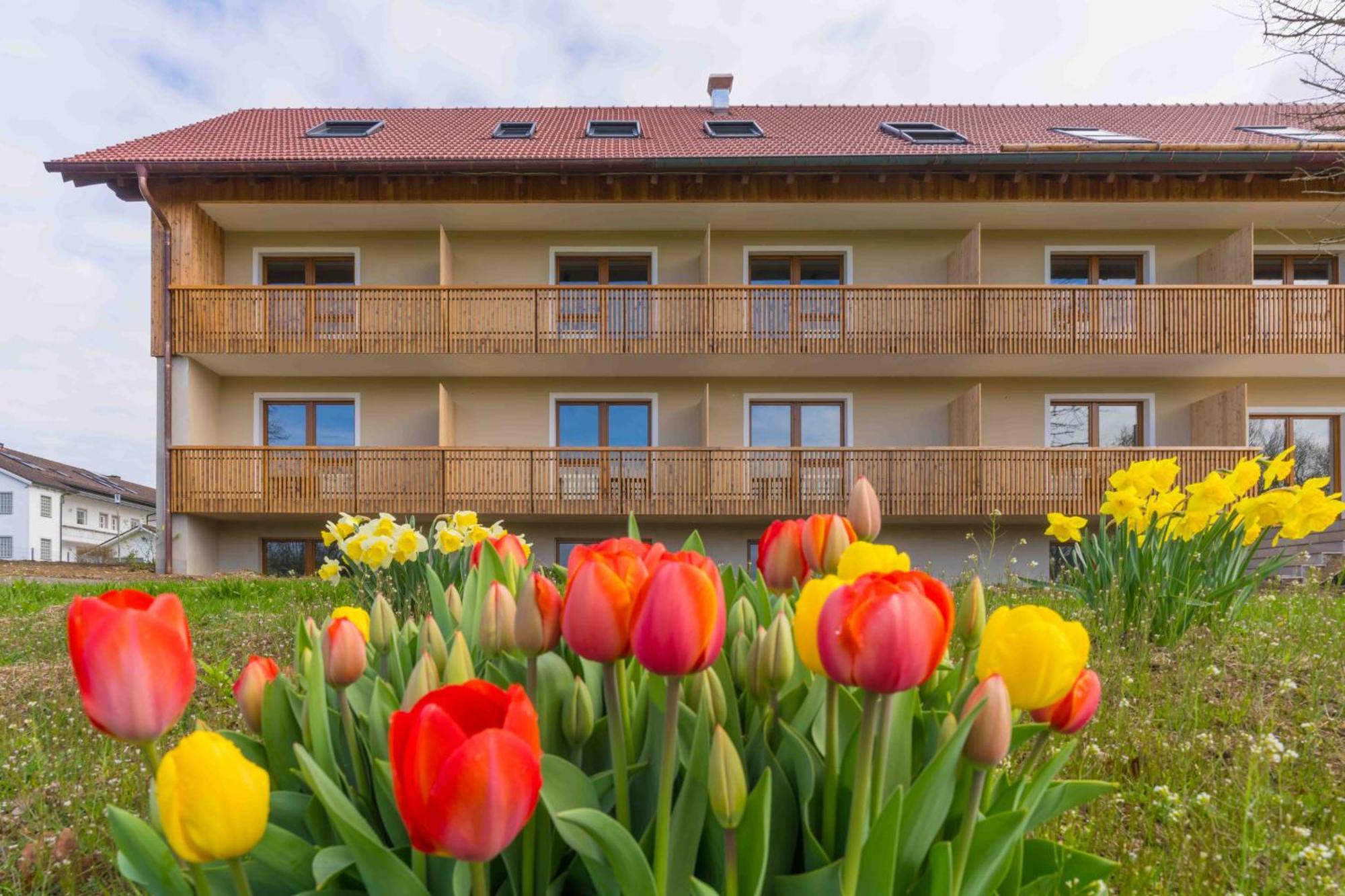 Chalet An Der Brunnader - Ihr Perfekter Rueckzugsort In Der Bayerischen Toskana Bad Birnbach Buitenkant foto